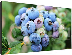 液晶拼接屏出現(xiàn)色差應該如何維修？